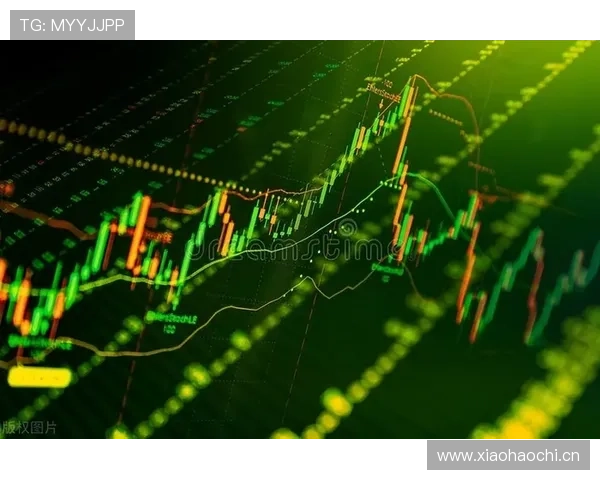 山东泰山深陷战术困局:依赖老将还是重建体系?